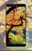 Autumn Wallpaper Ideas Cartaz