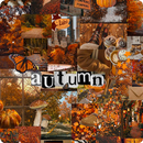 Autumn Wallpapers-APK