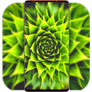 Awesome Wallpaper 4K APK