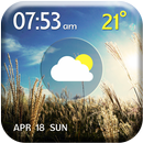 विलक्षण मौसम और समय Widget APK