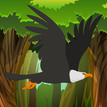 Eagle Bird Hunter