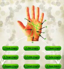 El Falı - Fal APK download