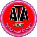 ATA MLBG Changer Guide