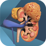 iURO Oncology APK