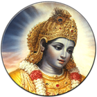ikon হিন্দু শাস্ত্র  ও কৃষ্ণ ভজন