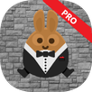 Rabbit Jump Pro APK