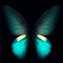 Amoled Wallpapers APK