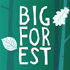 BigForest-icoon