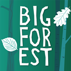 BigForest ไอคอน