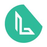 LI Surfaces