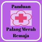 Panduan PMR biểu tượng