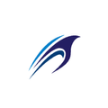 AVIACIONESAV PRO