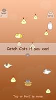 Catch Drifting Cats Affiche