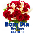 Bom Dia Boa Tarde Boa Noite