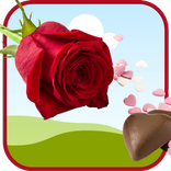 پھولوں کی تصاویر خواہشات