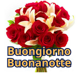Buongiorno e Buonanotte GIF