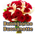 Buongiorno e Buonanotte GIF