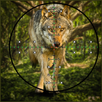 Wolf Hunting | Expert Shooting APK