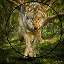 Wolf Hunting | Expert Shooting APK