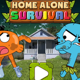 Home Alone Survival