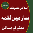 Islamic Book In Urdu Free APK