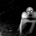 Caught On Camera Horror Game