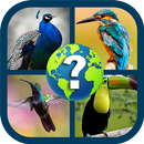 Game Kuis Burung 2020 APK