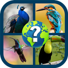Birds Quiz Game 2020-icoon