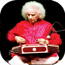 Pt. Shivkumar Sharma - Santoor APK