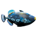 跟著魚兒游 APK
