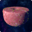 Alien ranch icon