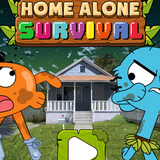 Home Alone Survival icône