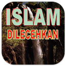 Islam Abused - Pdf APK