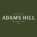 Adams Hill APK