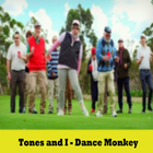 Tones and I - Dance Monkey آئیکن