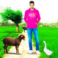 Village Photo Editor & Frames