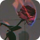 Aesthetic background aplikacja
