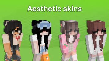 Aesthetic Skins 海报