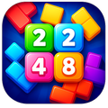 TetroNum Puzzle: 2248 Edition