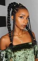 African Hairstyle With Braids  скриншот 3