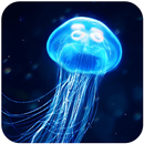 Jellyfish Wallpaper HD. APK