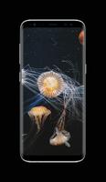 Jellyfish Wallpaper HD Affiche