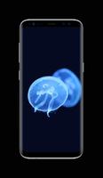 Jellyfish Wallpaper HD capture d'écran 1