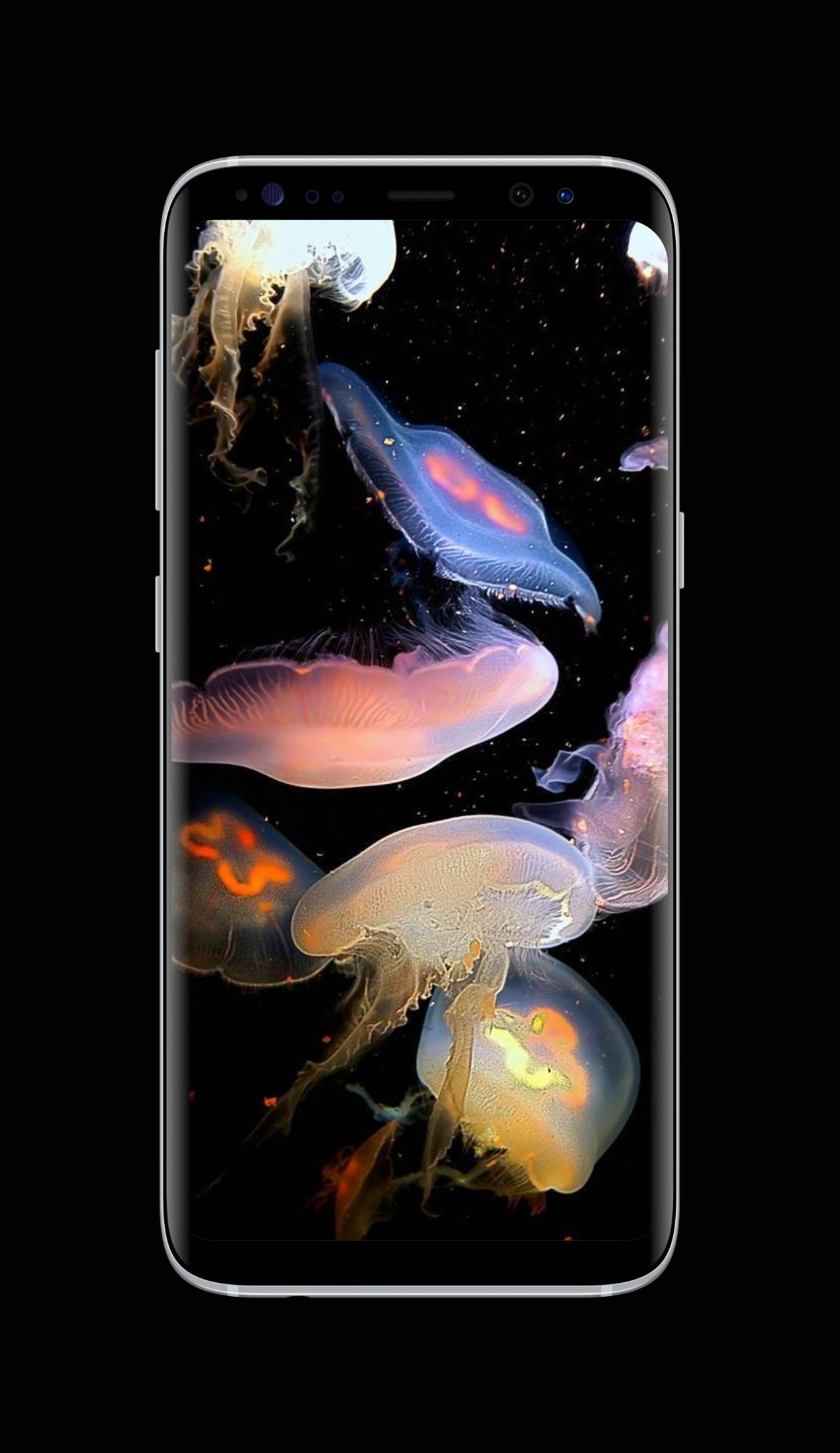 Jellyfish Wallpaper HD APK for Android Download