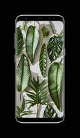 Plants Wallpaper HD 스크린샷 1