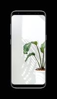 Plants Wallpaper HD 스크린샷 3