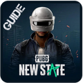Guide for pubg new state