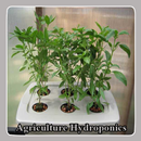 Agriculture Hydroponics APK