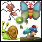Learning the Names of Insects - For Kids icône