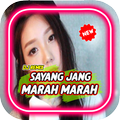 DJ Sayang Jang Marah Marah Viral